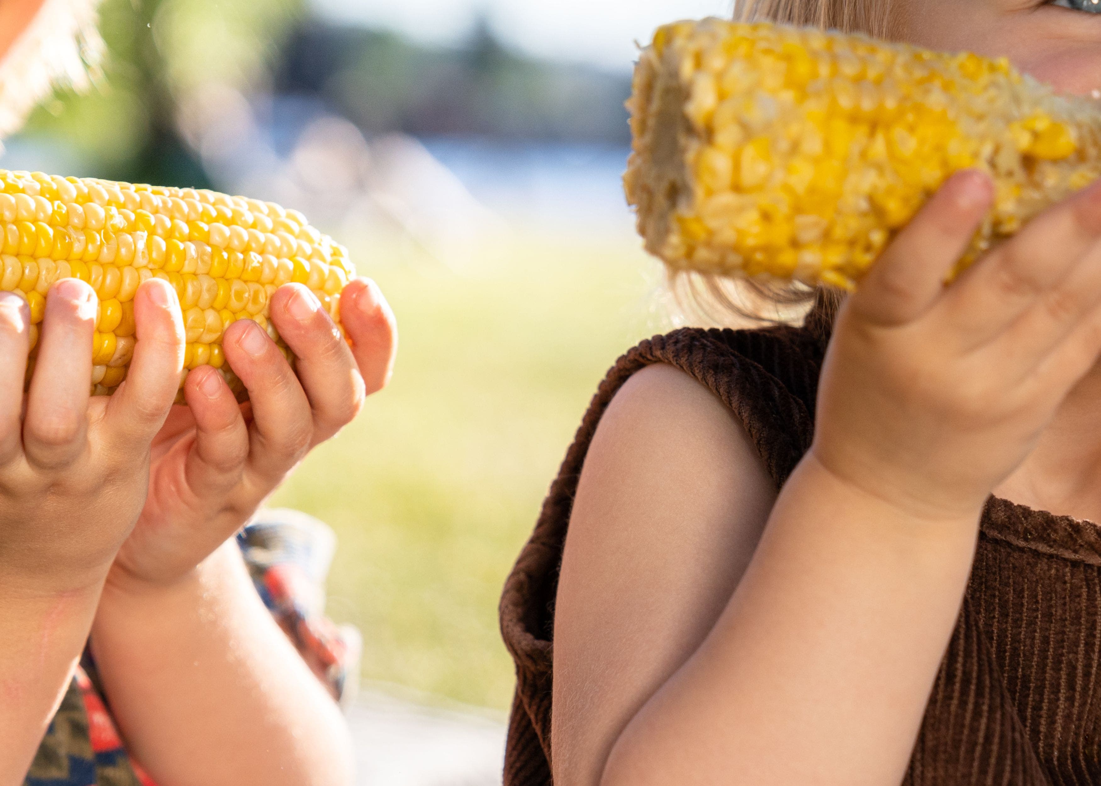 The Annual Corn Roast at Gore Place