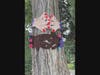 An example of yarn arms