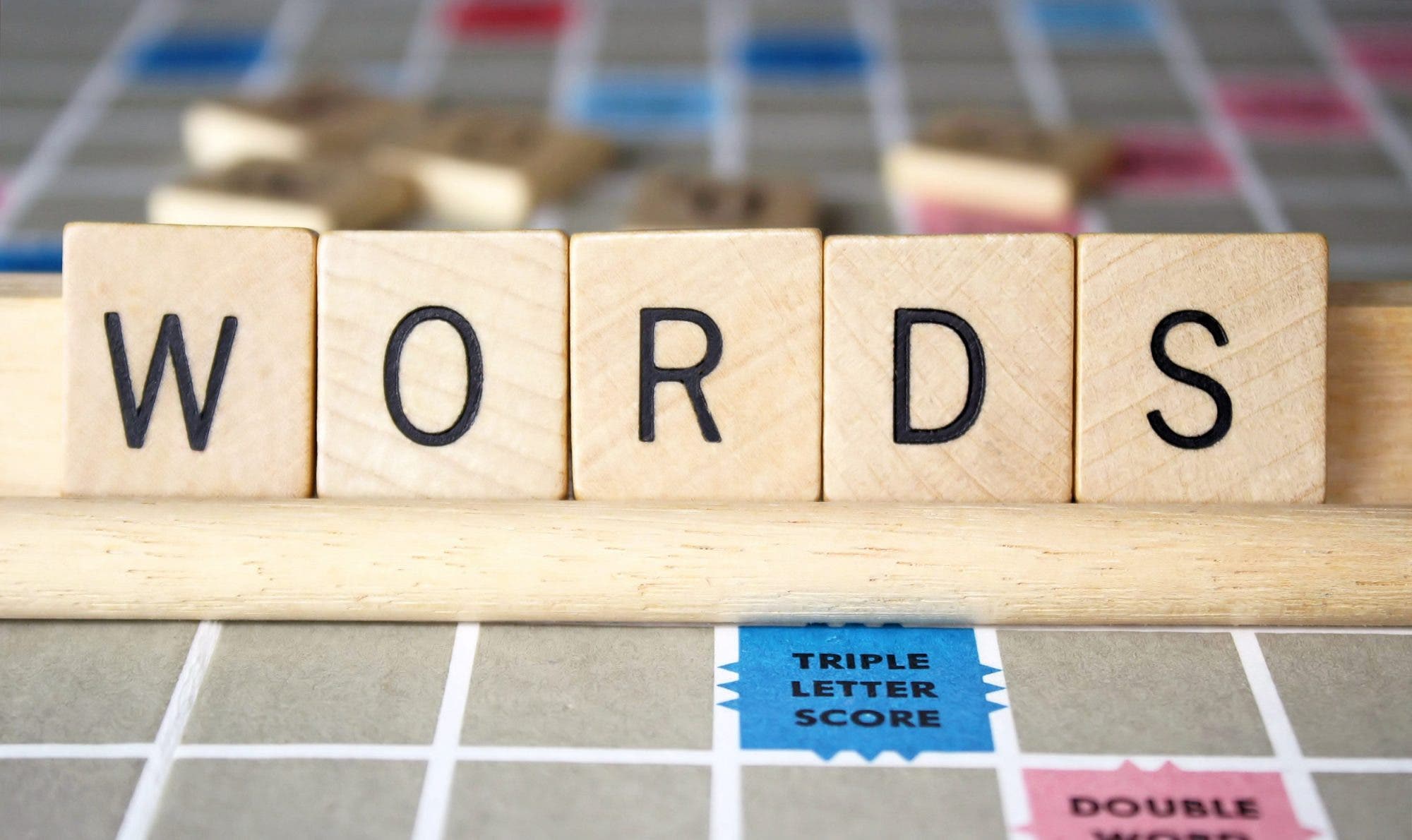 Word Game Palooza