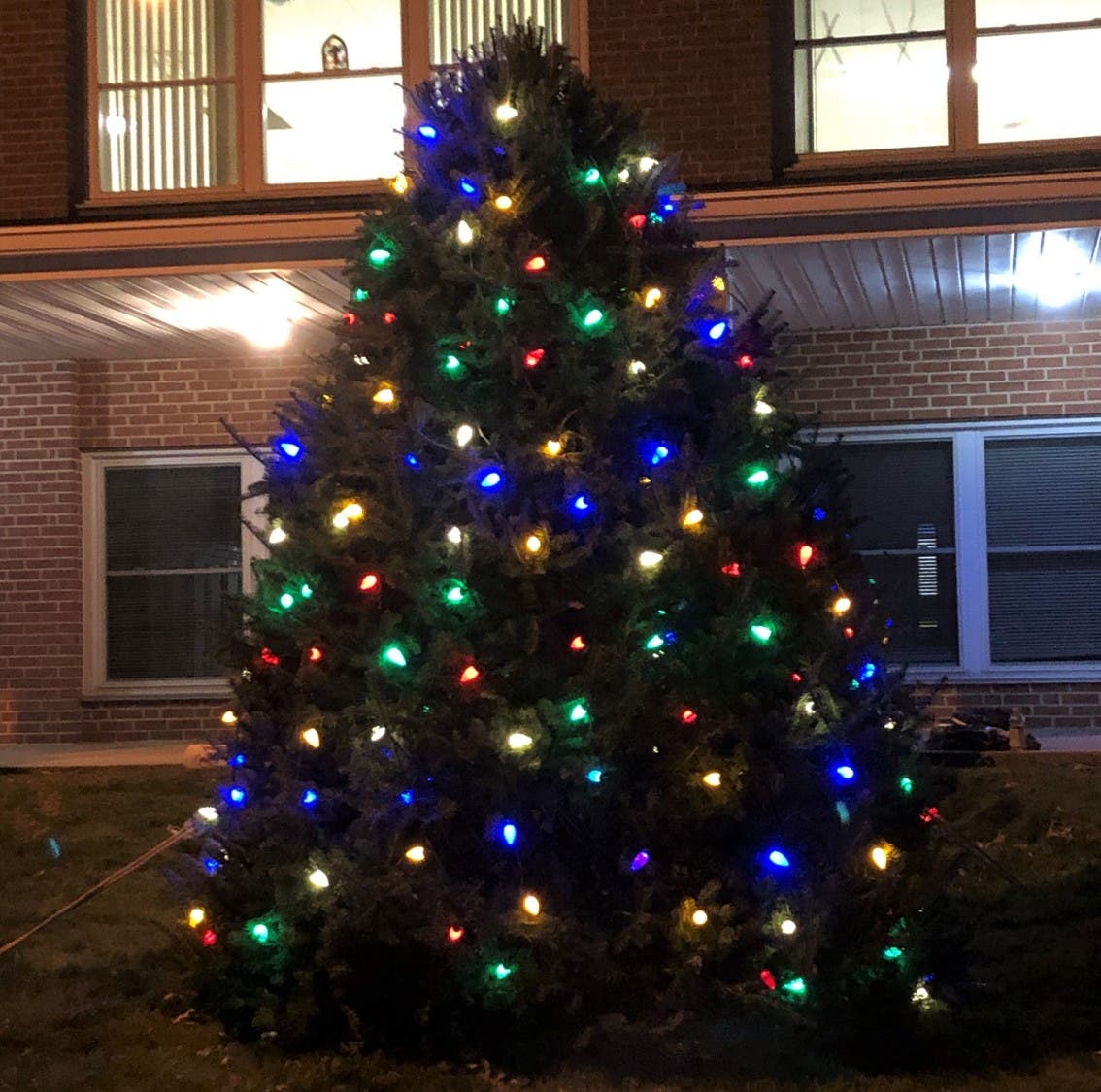 Christmas Tree Lighting 