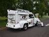 Ice Cream Treats for Attendees