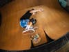 Tom Schaar in the Triple Eight/187 Independent Trucks Collection