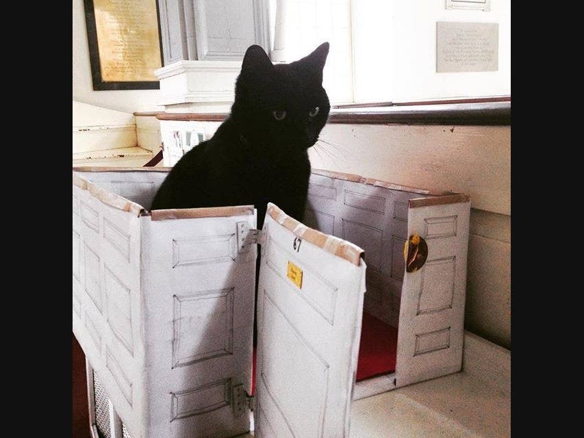 Prince the church cat in his own box pew.