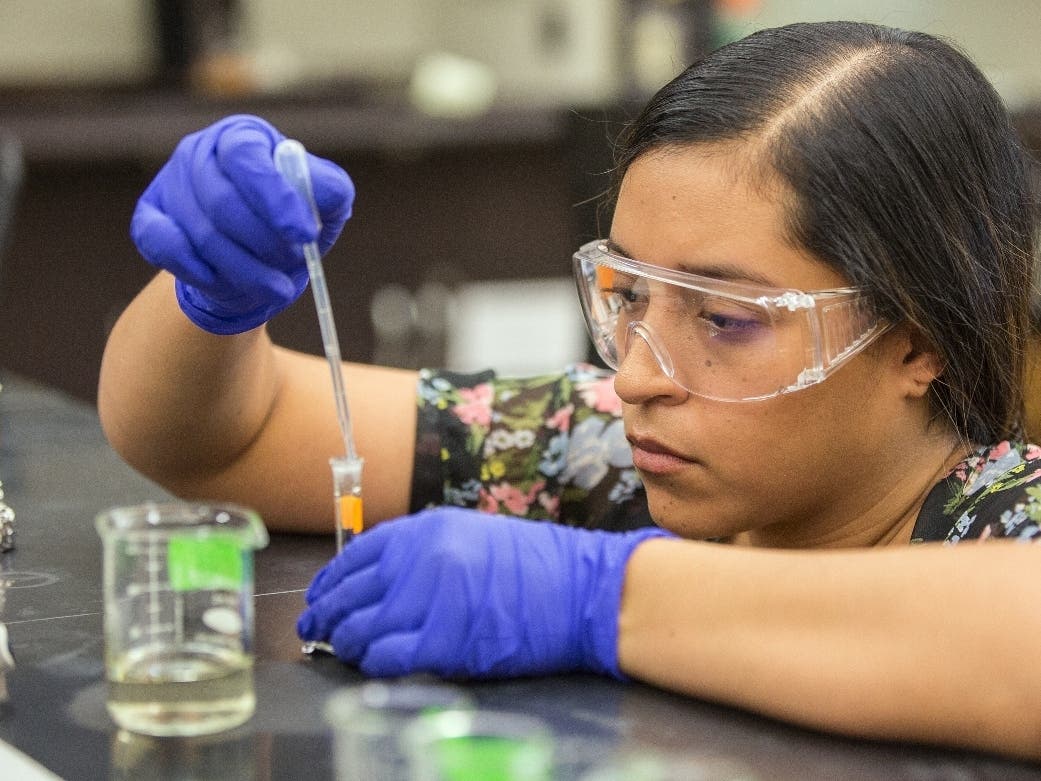 Alverno Awarded Grant to Attract Students of Color to STEM Greenfield