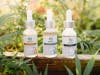 Greenlife Organics