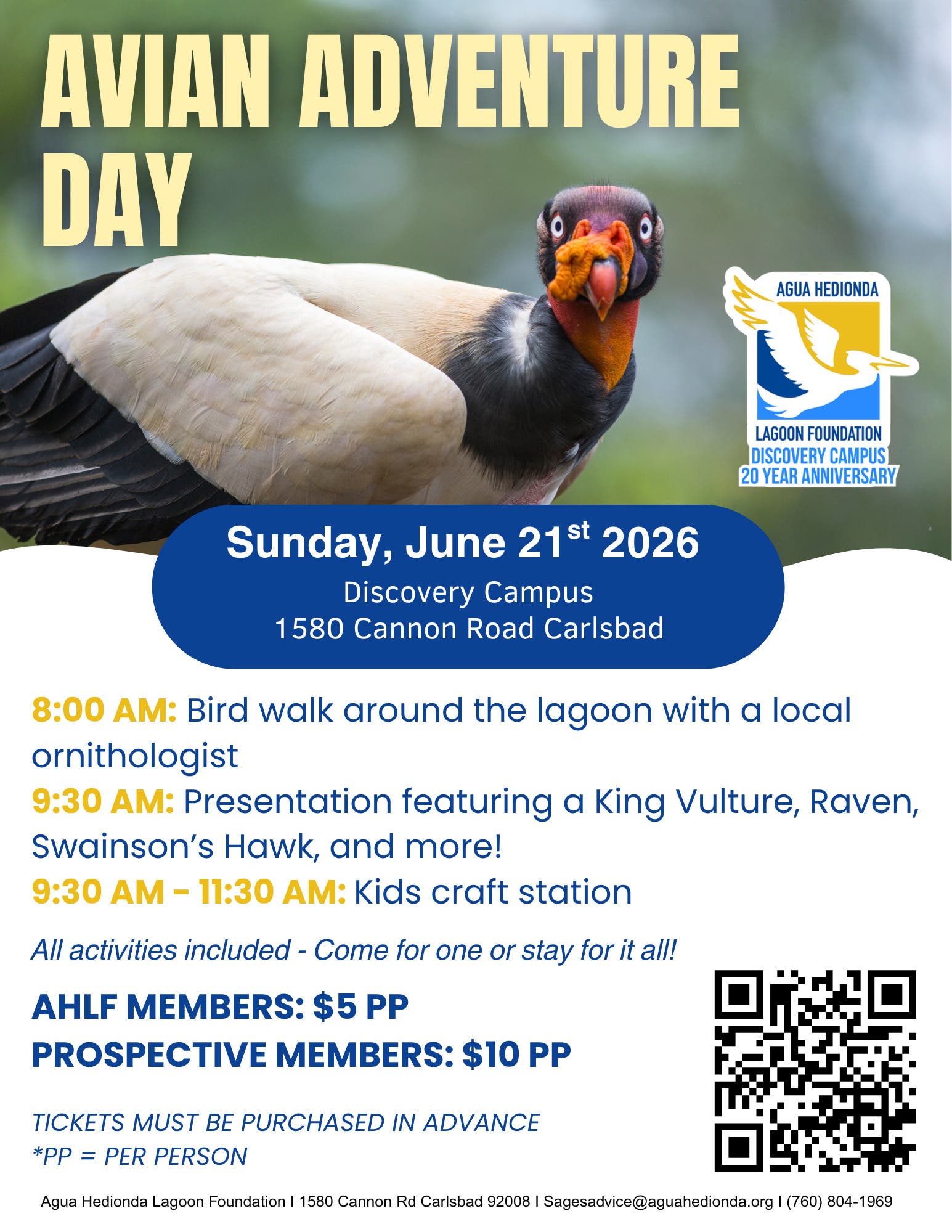Avian Adventure Day