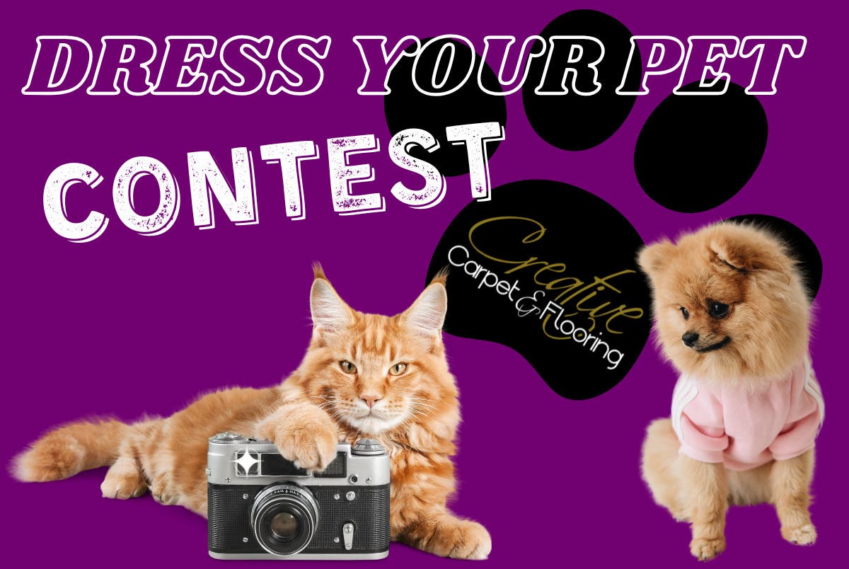 Creative Carpet & Flooring