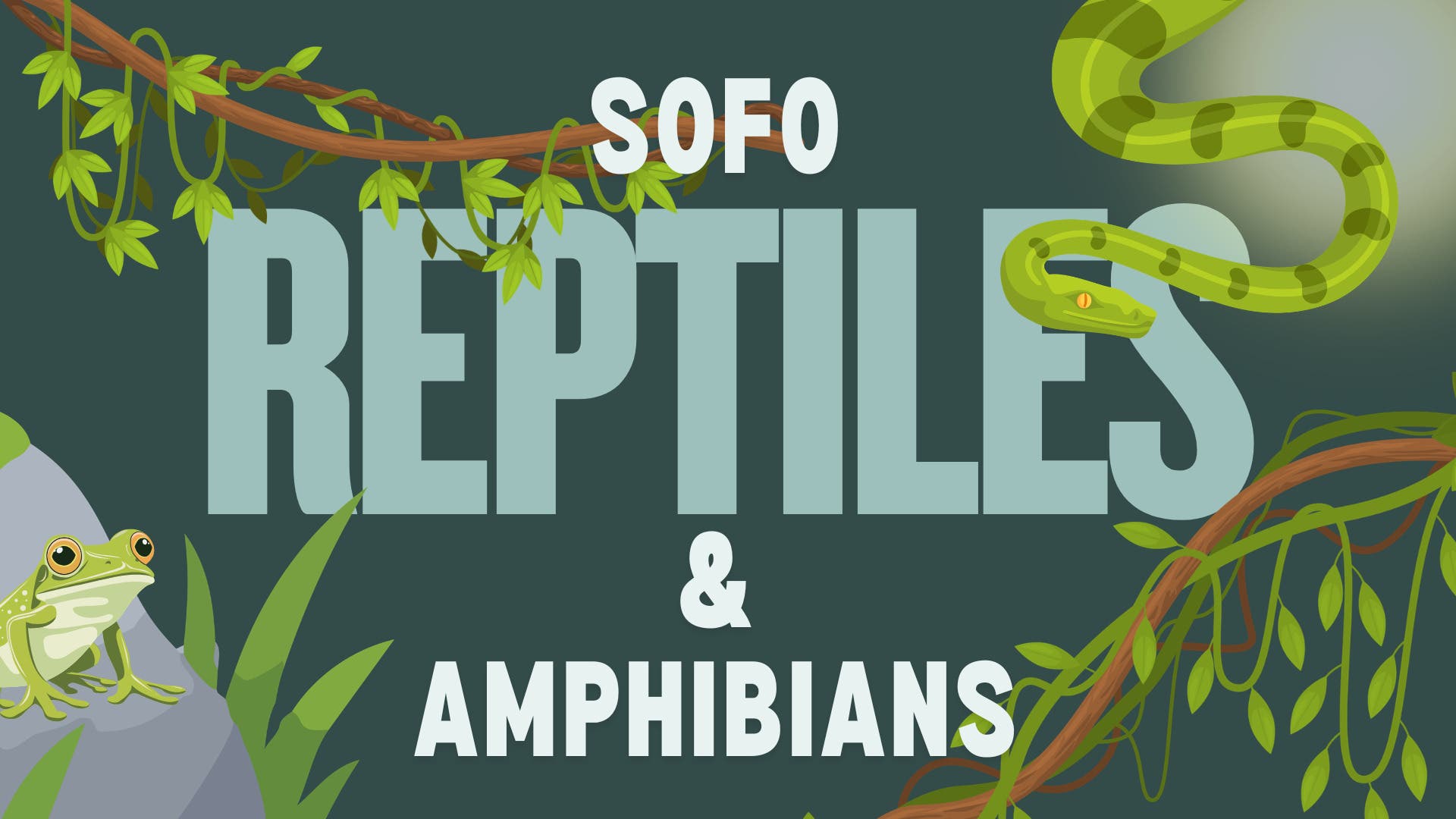 SoFo Reptiles & Amphibians