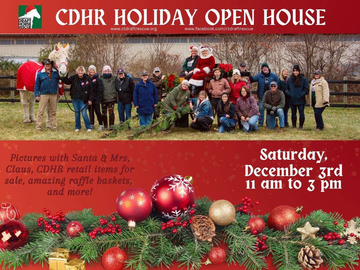 CDHR Holiday Open House 2022 (600 × 430 px) - 1