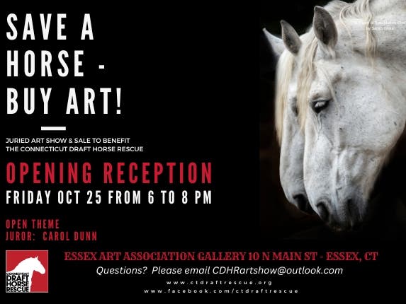 CDHR SAVE A HORSE - BUY ART! 2024 opening reception (600 × 430 px) - 1