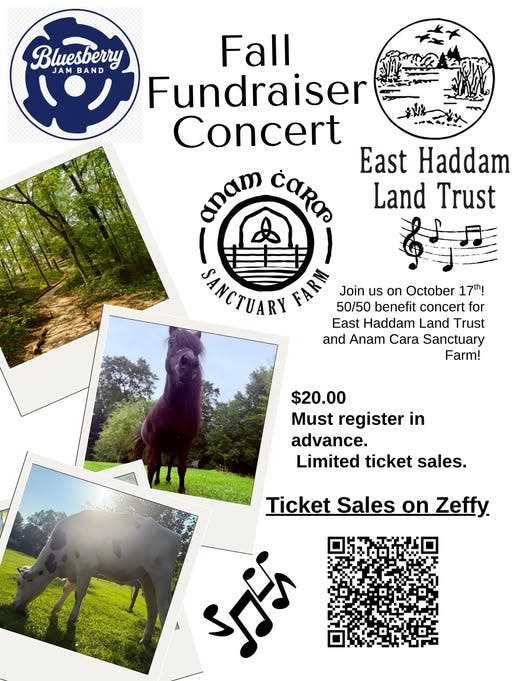 Fall Concert Fundraiser feat Bluesberry Jam Band