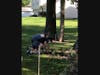 Volunteers are pictured installing trees and shrubs for a new arboretum at Green Lake Park. 