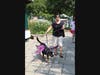 Join the fun for the annual Sweet Pea Pet Parade on Sunday, August 28 in downtown Palatine at Slade and Greeley streets - right next to Towne Square! Pre-registration is required to win in one of six categories!