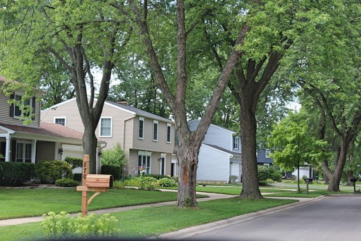 Single Family Homes For Sale in Wheaton, Illinois October 2018