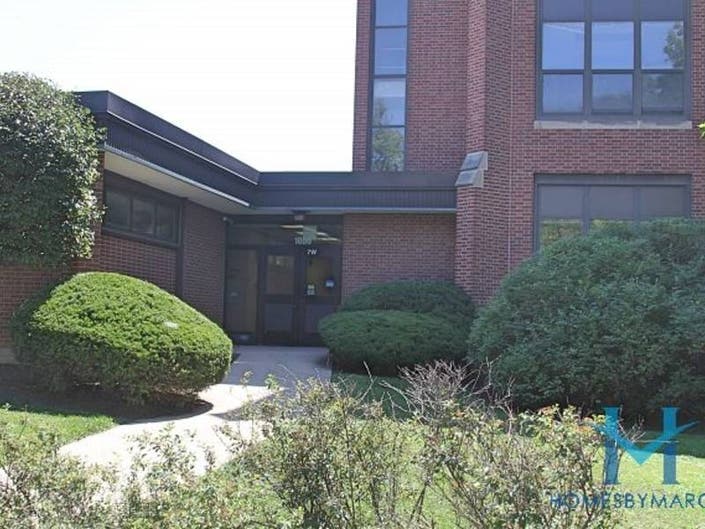 William Hatch Elementary School, Oak Park, Illinois April 2019 Oak