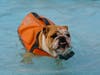 Told you I could swim.