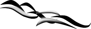 Curves cascading down to the right, representing a stream Curves cascading down to the right, representing a stream