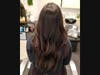 Shear Intuition Salon 