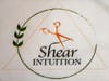 Shear Intuition