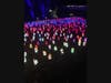3000 Illuminating Tulips to Captivate Your Mind Body & Soul
