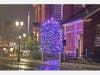 Hope Tree @ Memorial Hall Library 