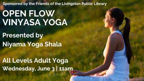 Open Flow Vinyasa Yoga for Adults