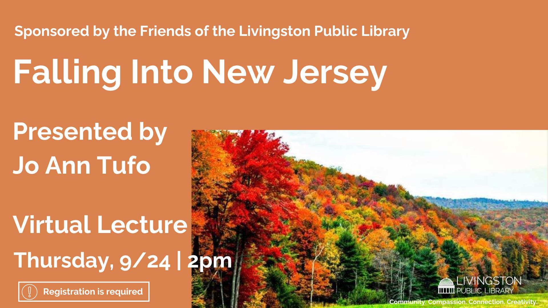 Falling Into New Jersey