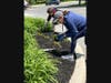 Members of the Bethlehem Township Community Center help plant marigolds. Traditions of Hanover donated the flowers to honor the memory of Allison Perno. 