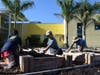 Volunteers spread top soil in the raised beds where kale, broccoli and collard greens will grow.