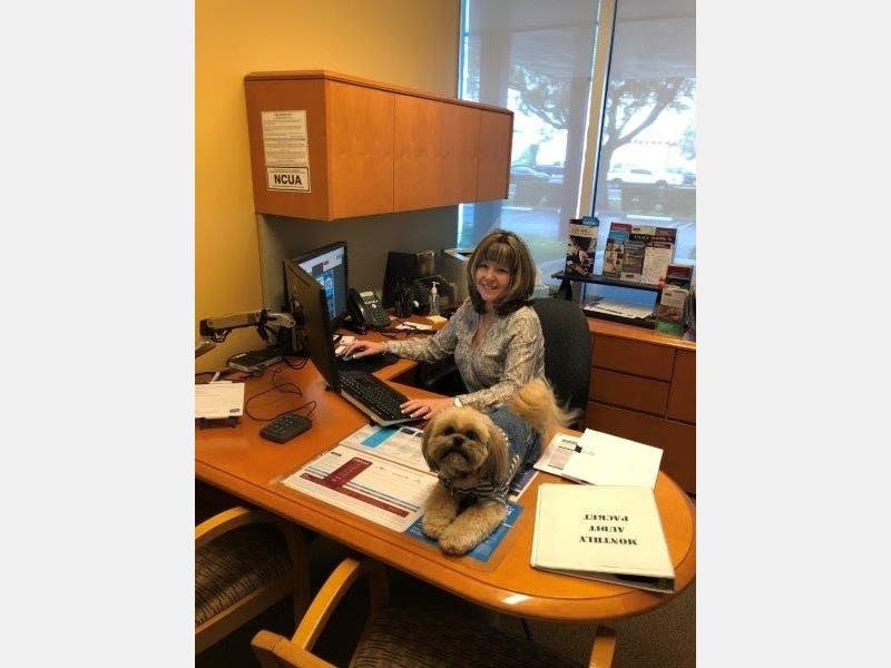 Achieva has a dog-friendly workplace. This is New Port Richey branch manager Sherry Jackson with her dog Bear. 