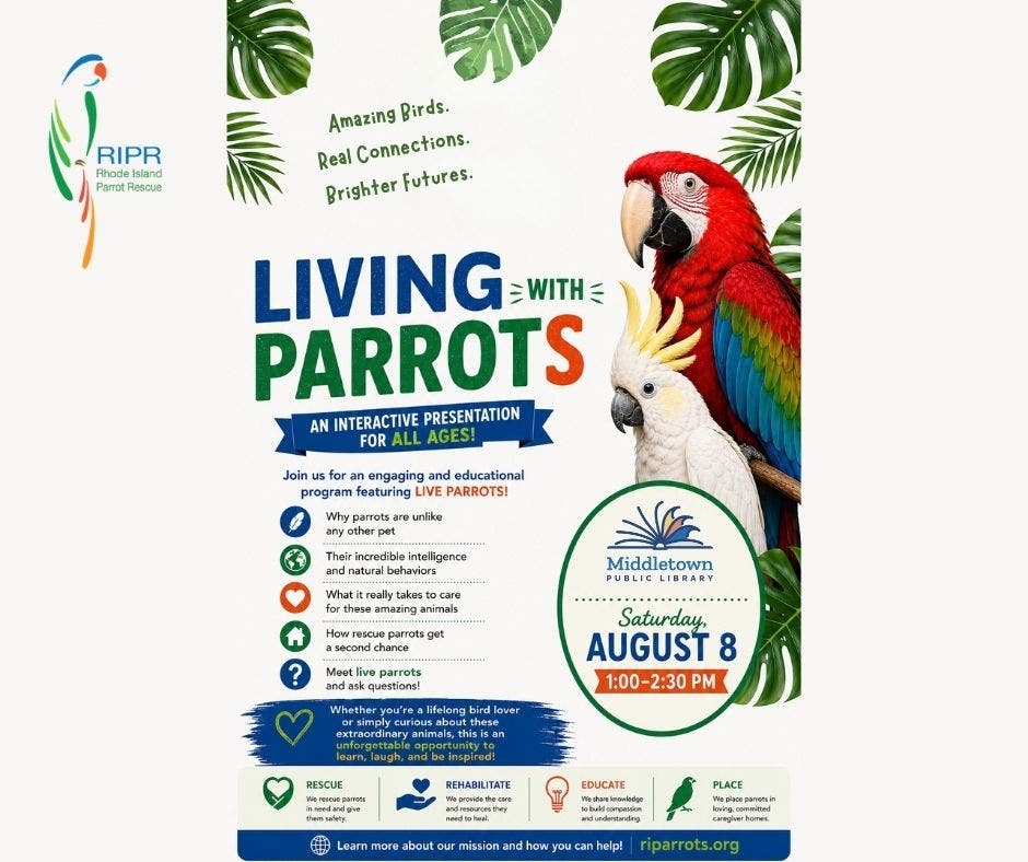 Rhode Island Parrot Rescue at the Middletown Public Library