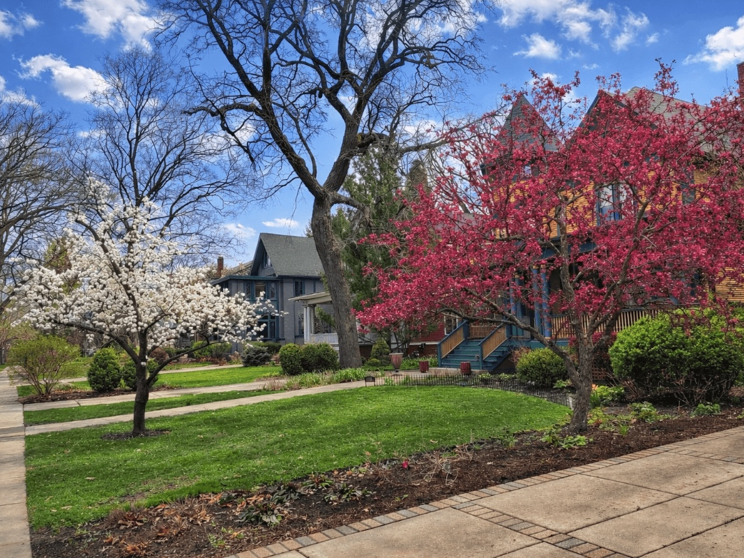 Oak Park Homeowners Worried About Foreclosure May Have More Options Than They Think