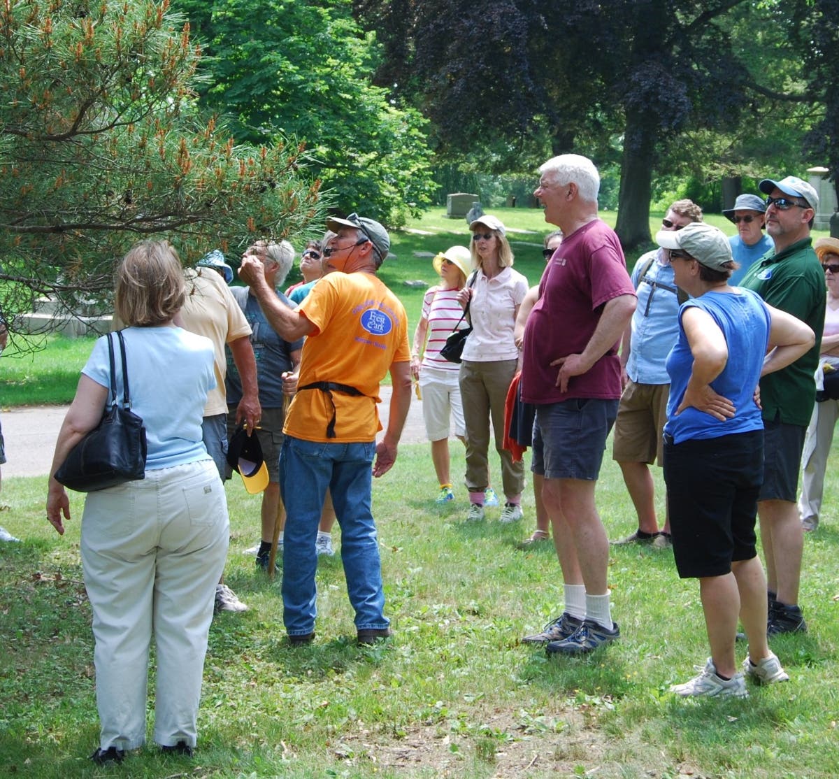 John Kehoe discusses the Tanyosho Pine on a walking tour of Cedar Hill Cemetery.
