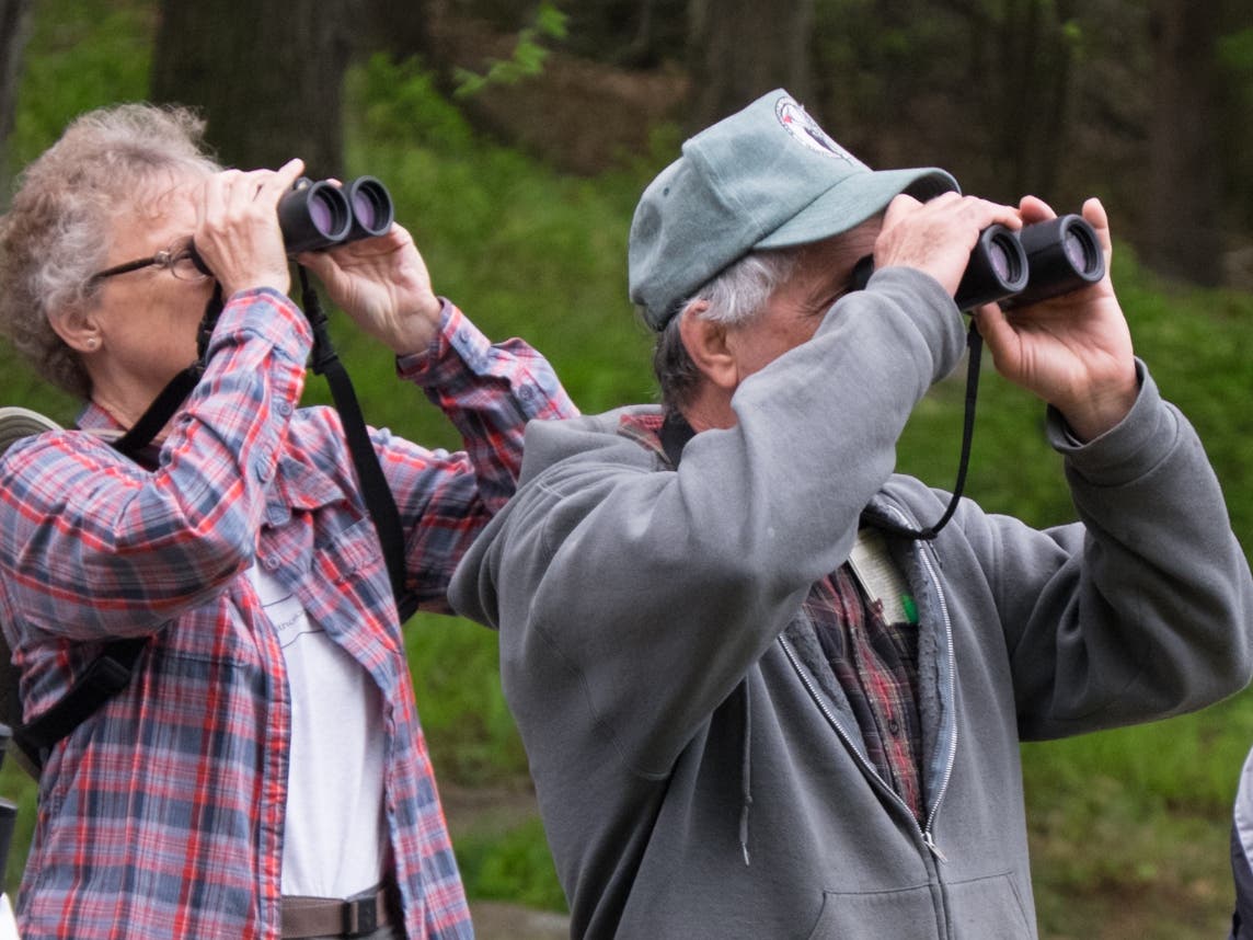 Birding at Cedar Hill Cemetery 