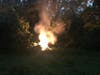 Burning wires caused a brush fire Saturday in Westport following a powerful storm that swiftly moved through the area.