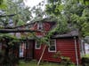 A Westport home was damaged Saturday when a tree - knocked down by a powerful evening storm - fell on it.
