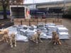 State police dogs and 420 pounds of marijuana found in a U-Haul truck at a Darien rest stop on I-95.