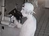 Surveillance photo of one of the suspects in the July 13 break in at the concession stand at the Peter J Foley Baseball Field in Naugatuck.