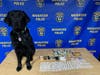 Naugatuck police dog "Judge" poses with narcotics found in a vehicle following a crash in Naugatuck on Sunday.