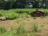 A dilapidated shed and tree trunks have been left unattended on the blighted property at 400 Bronson Road in Fairfield. 