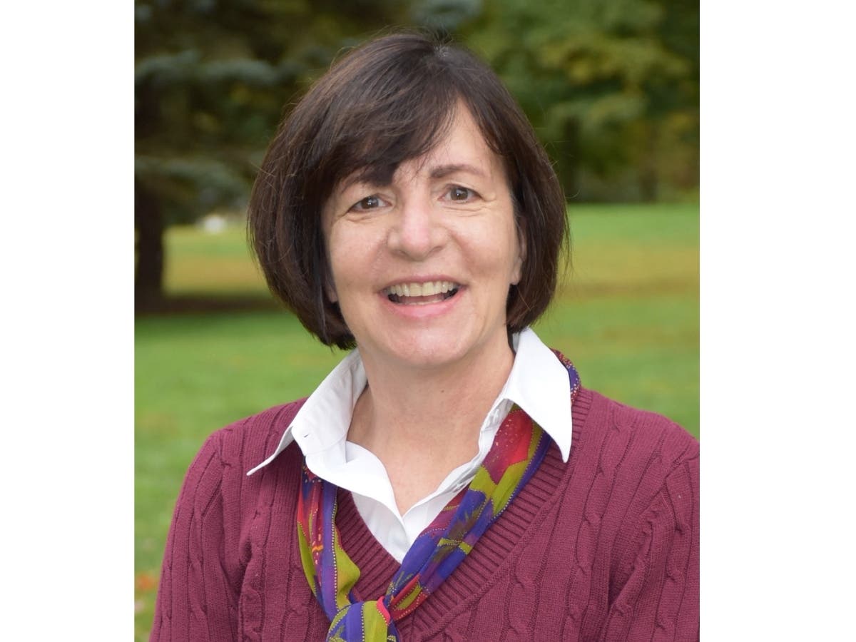 Nancy von Euler is seeking election to the Fairfield Representative Town Meeting.