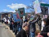 Protesters along the Ruth Steinkraus Cohen Bridge on Route 1 in downtown Westport during Saturday's No Kings rally.