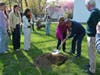 Town Clerk Betsy Browne and state Sen. Tony Hwang help to bury the time capsule, which is slated to be dug up in 50 years.