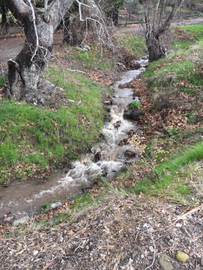 Our heavy winter rains have created opportunities to enjoy brooks and waterfalls.