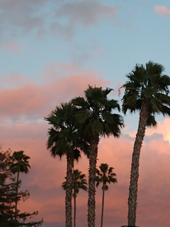 Linda is dreaming of warmer climates!