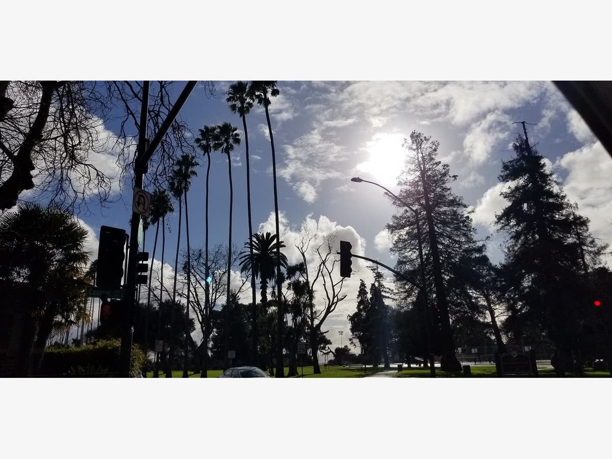 A lovely view of Washington Park. 