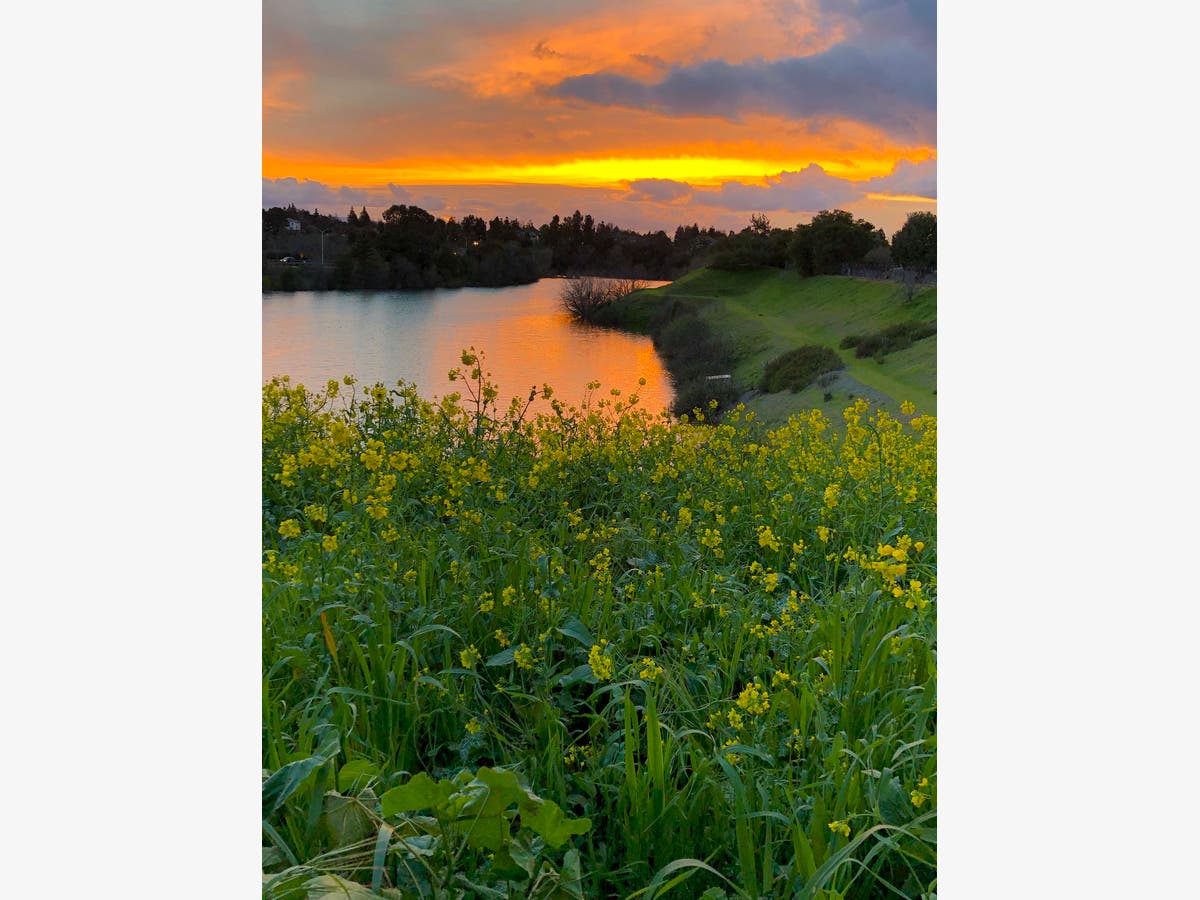 Sunset over Alameda Creek