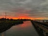 Alameda sunset