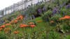Landscaping in Union City