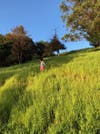 On El Cerrito Mountain​